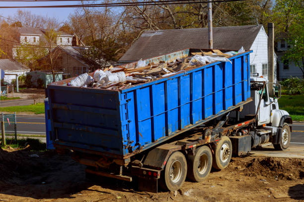 Shed Removal